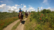 Italy-Lazio-Alta Tuscany Castle Ride